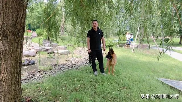 训狗师这个工作怎么样？