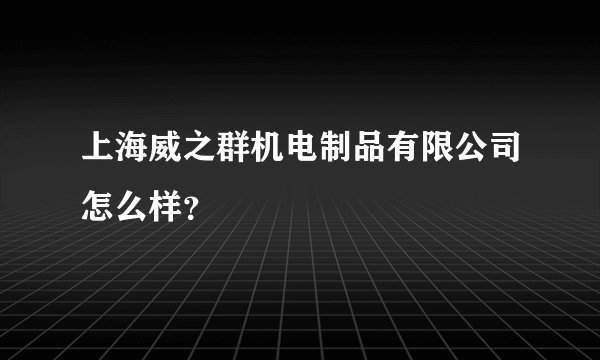上海威之群机电制品有限公司怎么样？