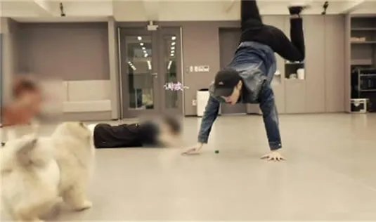 张艺兴倒立训狗:这画面怪不得都在羡慕狗狗了