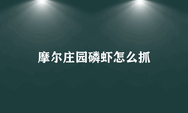 摩尔庄园磷虾怎么抓
