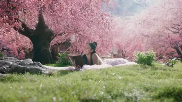 如何评价《宸汐缘》中的特效？