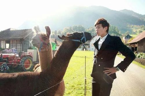 何润东喜欢过张钧甯吗？