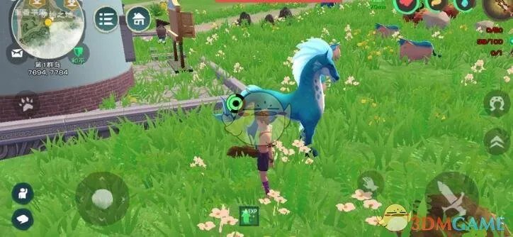 《创造与魔法》抓英俊白马保底饲料