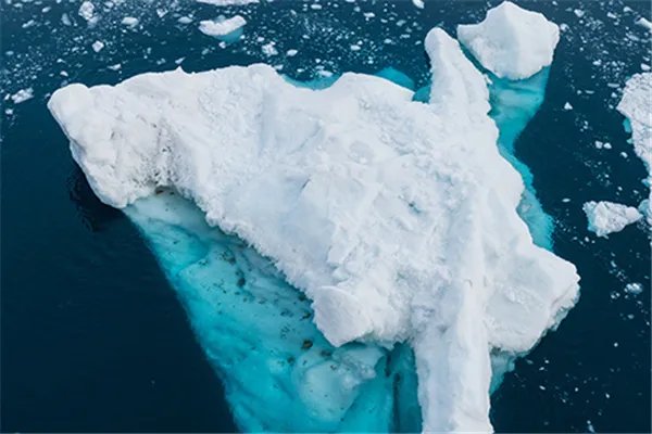 2020年将为有记录以来最暖年份之一，你认为天气变暖的原因都有什么？