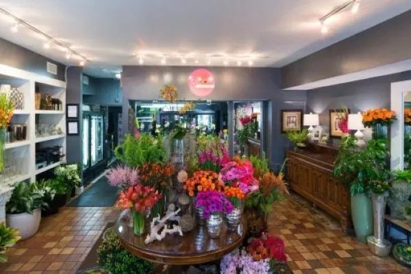 深圳宝安哪里有鲜花店？