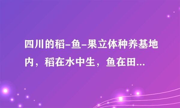 四川的稻-鱼-果立体种养基地内，稻在水中生，鱼在田里游，坡体上则果蔬成林。此生态模式吸引了全国各地农业系统的关注，其中田里游的鱼被泛称为稻花鱼，其生活在水稻田里，取食杂草、稻花及植食性农业害虫等。下列说法错误的是（　　）A.鱼粪可肥田，但其中能量不能流向水稻B.稻花鱼属于该生态系统中的第三营养级C.稻花鱼与植食性农业害虫的种间关系是捕食和竞争D.这种生态模式既提高了能量的利用率，也使能量持续高效地流向对人类最有益的部分