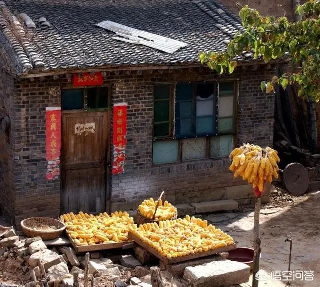 如何打造生态休闲农业园项目?