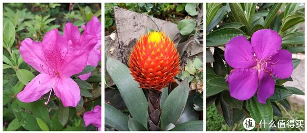 离完美只差一步:MI 小米 红米Note5 智能手机 体验评测(含高通骁龙636性能测试)