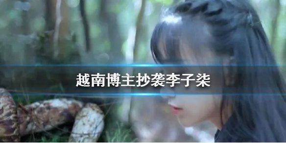 越南博主抄袭李子柒是怎么回事 越南博主抄袭李子柒视频