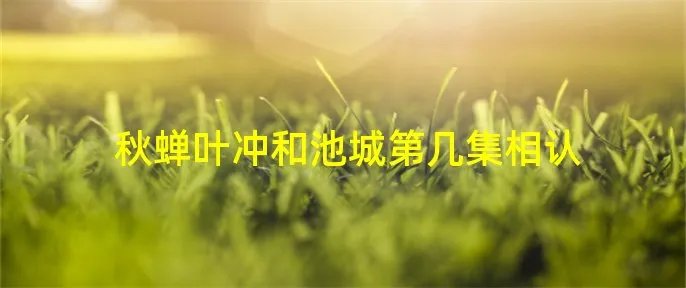 秋蝉叶冲和池城第几集相认