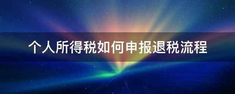 个人所得税如何申报退税流程