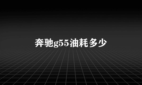 奔驰g55油耗多少