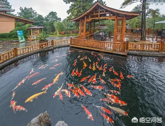 如何打造生态休闲农业园项目?