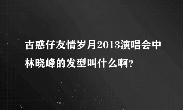 古惑仔友情岁月2013演唱会中林晓峰的发型叫什么啊？