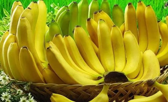 何处游客偷香蕉遭殴打？