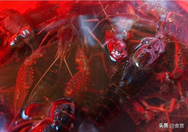 怎样才能吃到最优质的小龙虾?