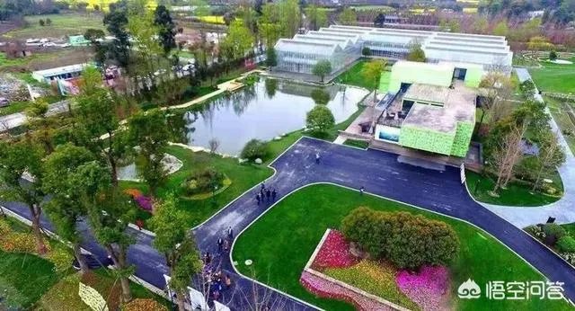 如何打造生态休闲农业园项目?