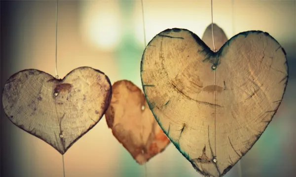 清楚哪几个道理的女人,说明她自控力强还很聪明?