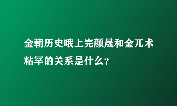 金朝历史哦上完颜晟和金兀术粘罕的关系是什么？