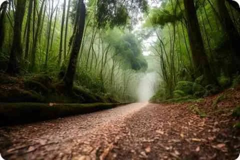 凭海听风瑜伽培训机构怎么样？