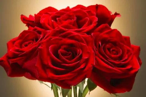 七夕朋友圈怎么发独特一点