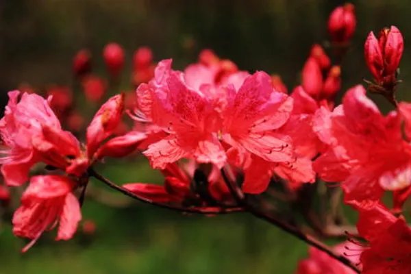 徐丽丽春光美歌词