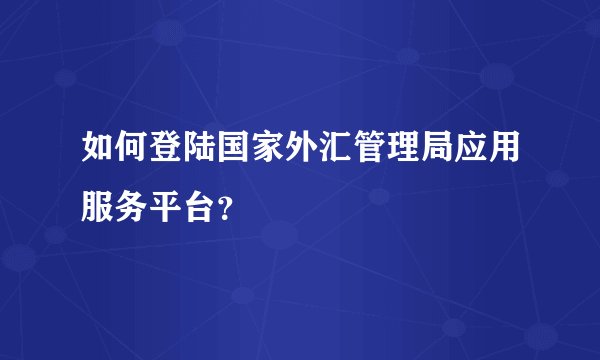 如何登陆国家外汇管理局应用服务平台？