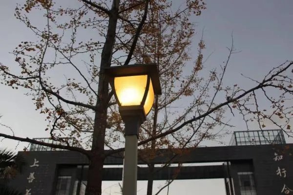 为什么有的大学生觉得疫情偷走了青春?