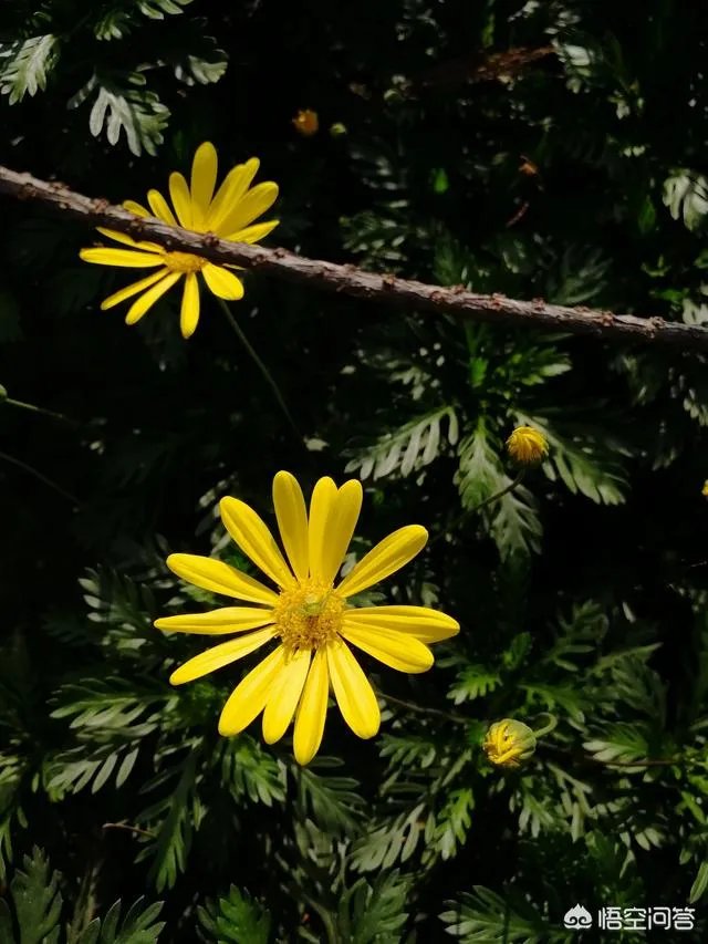 为何有些人喜欢去澳洲旅游？