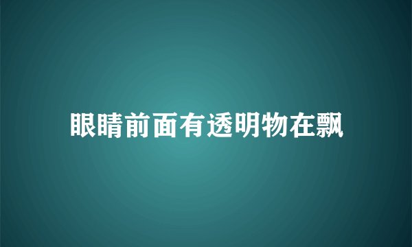 眼睛前面有透明物在飘