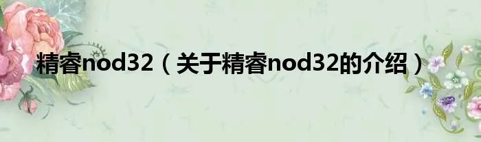 精睿nod32（关于精睿nod32的介绍）