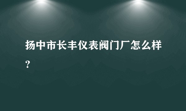 扬中市长丰仪表阀门厂怎么样?