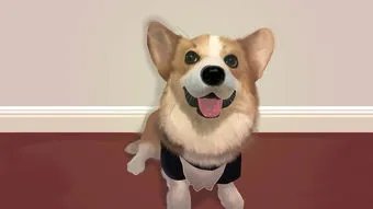 伊宁居民隔离宠物狗被扑杀，涉事干部被免，此事的处理方式有何不妥之处？