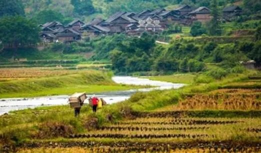 贵州山中“龙吟”初步认定为鸟叫 贵州深山龙吟声是什么鸟发出的