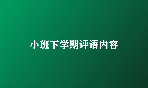 小班下学期评语内容