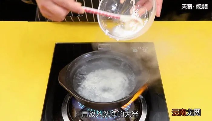 龙眼肉粥的做法龙眼肉粥怎么做