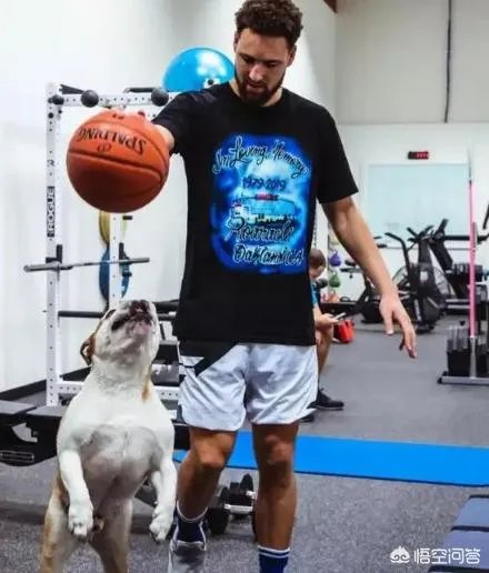 库里和克莱的伤势都怎么样了，什么时候可以打比赛？