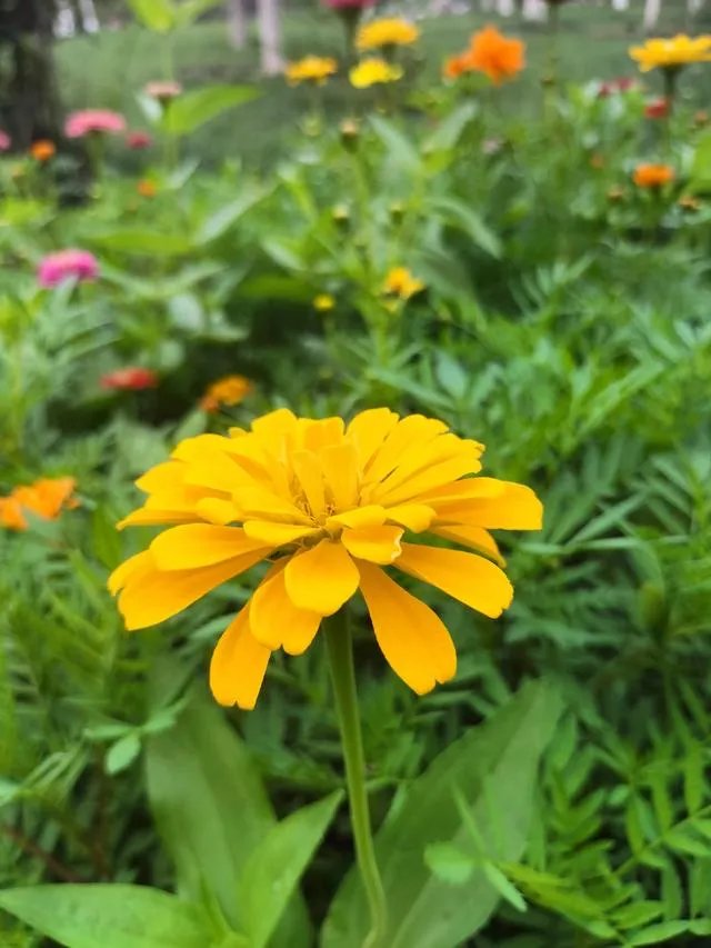 若无相欠，怎会遇见。你们相信，今生遇到的人是你该遇到的吗？