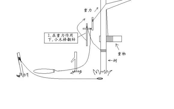 荒野求生设陷阱抓野猪的是哪一集