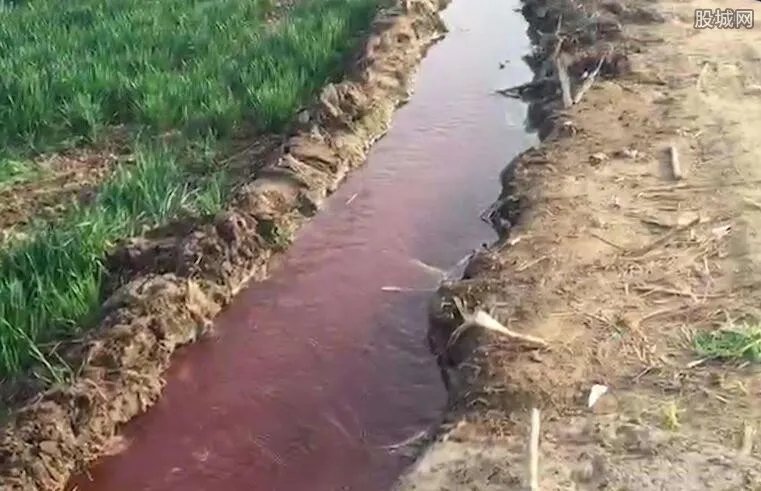 红水浇地案通报 调查工作完成对四名负责人实行刑拘