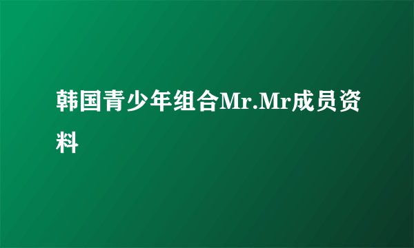 韩国青少年组合Mr.Mr成员资料