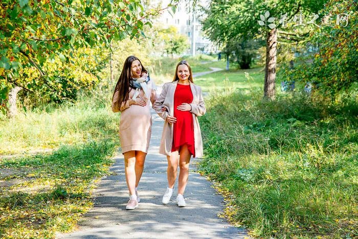 PROTW派乐天品牌介绍