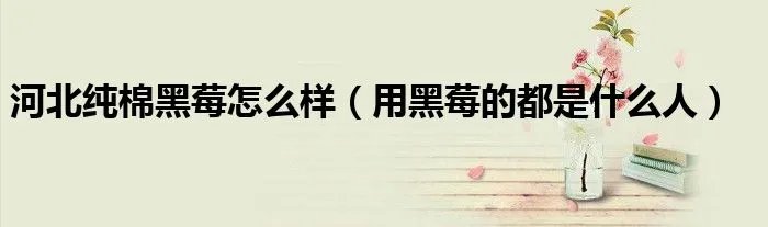 河北纯棉黑莓怎么样（用黑莓的都是什么人）