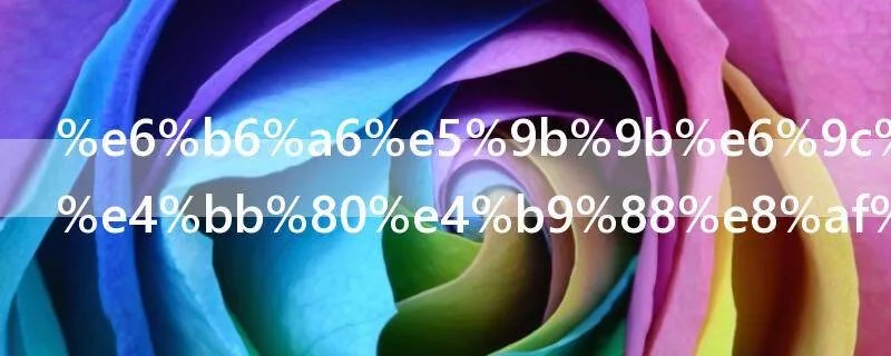 润四月份有什么说法