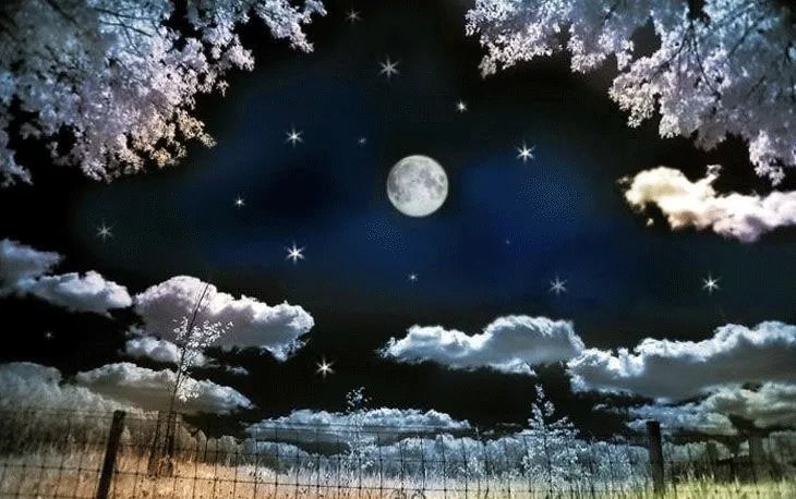 制作GIF动图，哪些软件简单易操作？