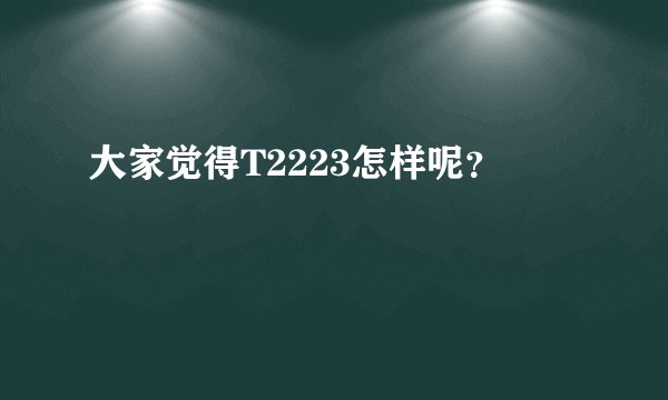 大家觉得T2223怎样呢？
