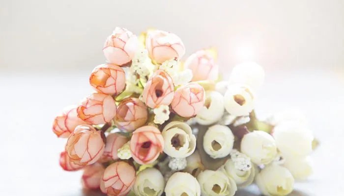 5月20日送女朋友多少朵花