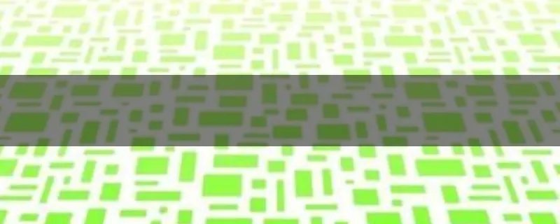 蔡妍参加过几次快乐大本营