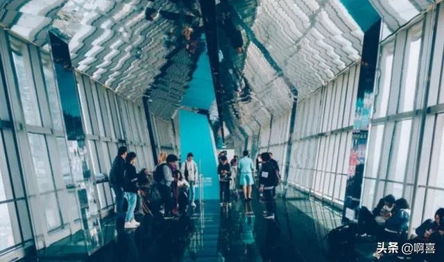 上海环球金融中心观光天阁好玩不?