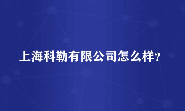 上海科勒有限公司怎么样？